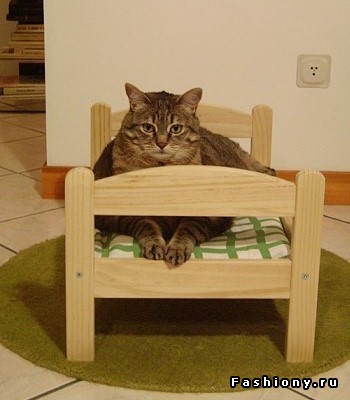 Личная кошачья кровать Личная кошачья кровать