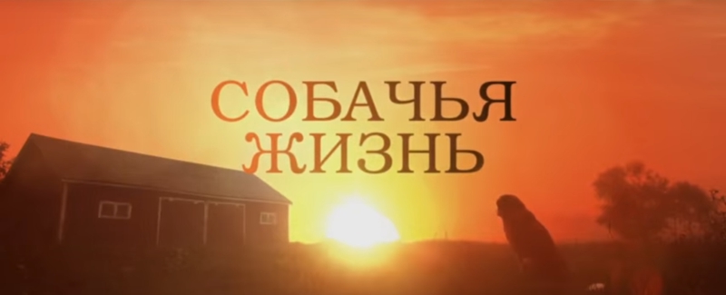 Фильм Собачья жизнь - кино про собак