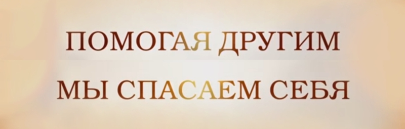 Фильм Собачья жизнь - доброе кино про собак. 