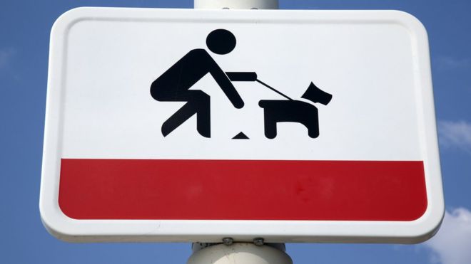 А вы убираете за своим питомцем?