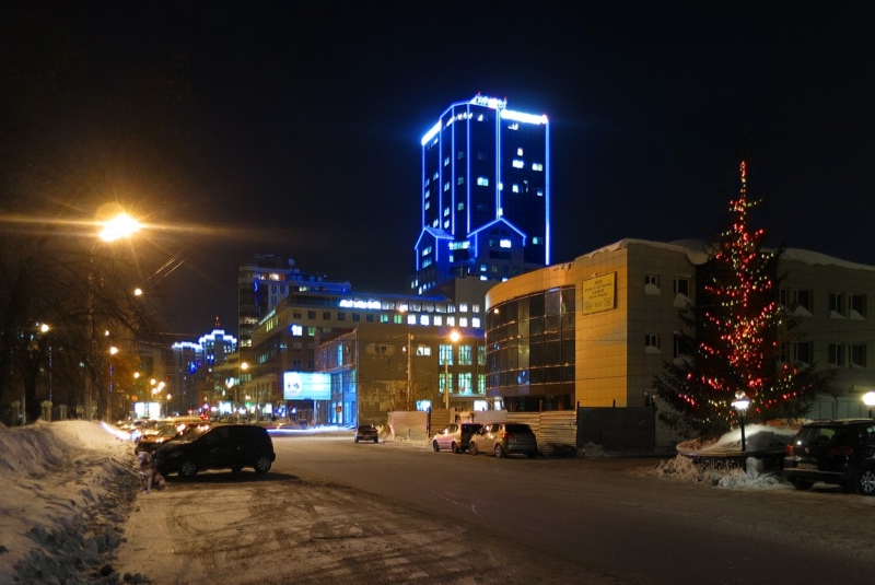 Собака в вечернем городе спряталась у машины