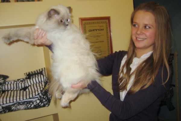 Подготовка к выставкам Подготовка к выставкам